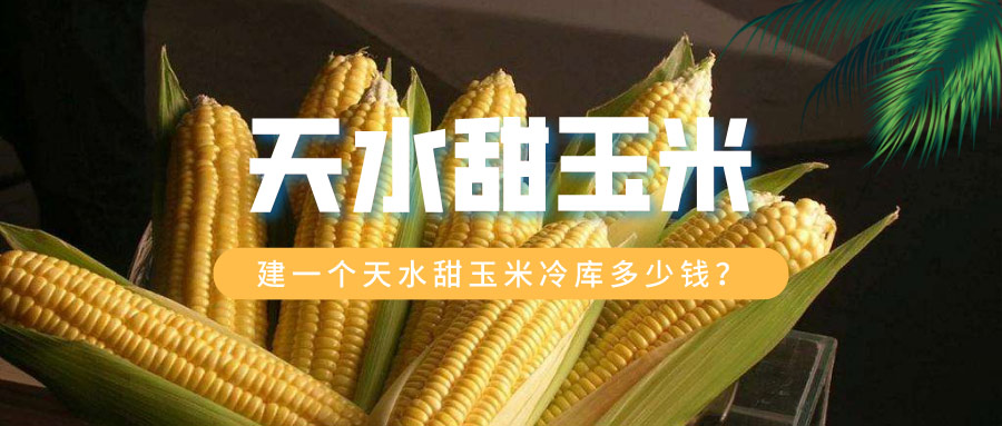 建一個(gè)天水甜玉米冷庫(kù)多少錢(qián)？