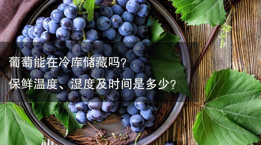 葡萄能在冷庫(kù)儲(chǔ)藏嗎？ 保鮮溫度、濕度及時(shí)間是多少？