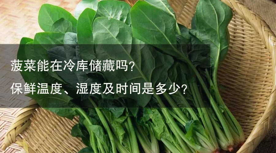 菠菜能在冷庫(kù)儲(chǔ)藏嗎？ 保鮮溫度、濕度及時(shí)間是多少？