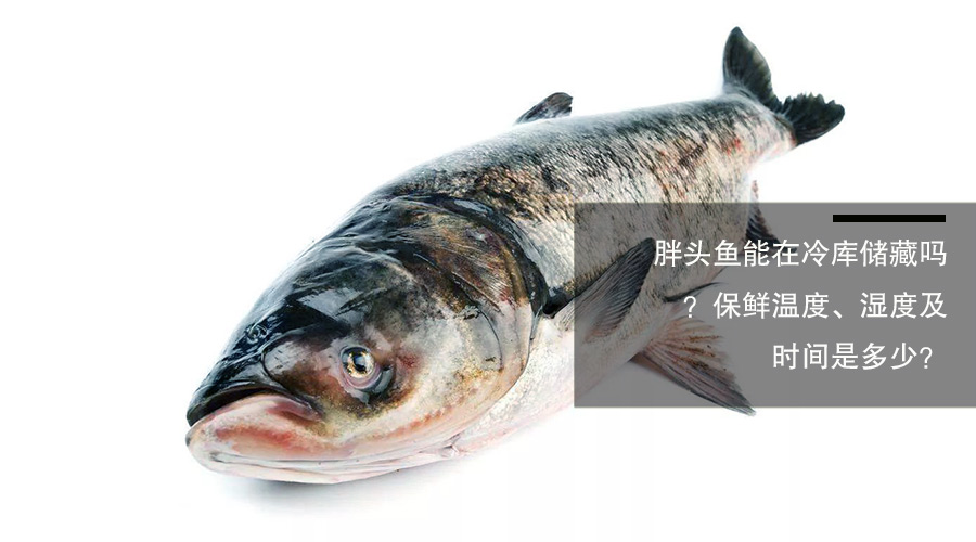 胖頭魚（鳙魚）冷庫儲藏溫度、相對濕度及貯藏時間介紹