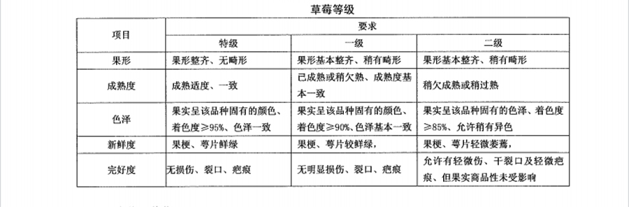 草莓的等級(jí)標(biāo)準(zhǔn)