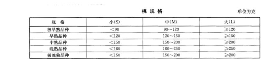 桃子大小規(guī)格標(biāo)準(zhǔn)