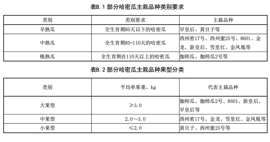 哈密瓜早、中、熟瓜和大中型瓜的分類要求