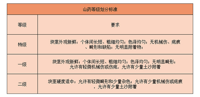 山藥入冷庫前的分級標(biāo)準(zhǔn)