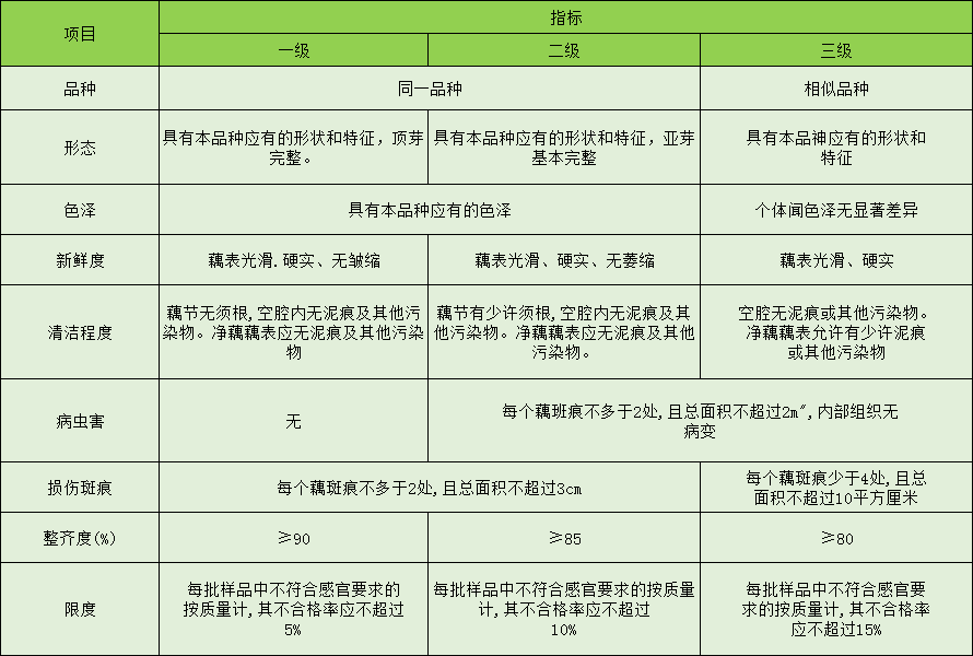 蓮藕放冷庫(kù)前分級(jí)標(biāo)準(zhǔn)