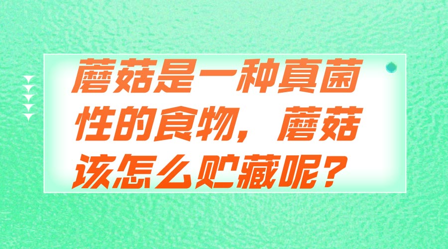 蘑菇是一種真菌性的食物，蘑菇該怎么貯藏呢？