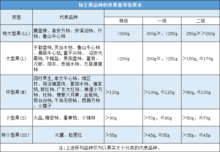 柿果單果重量分級(jí)