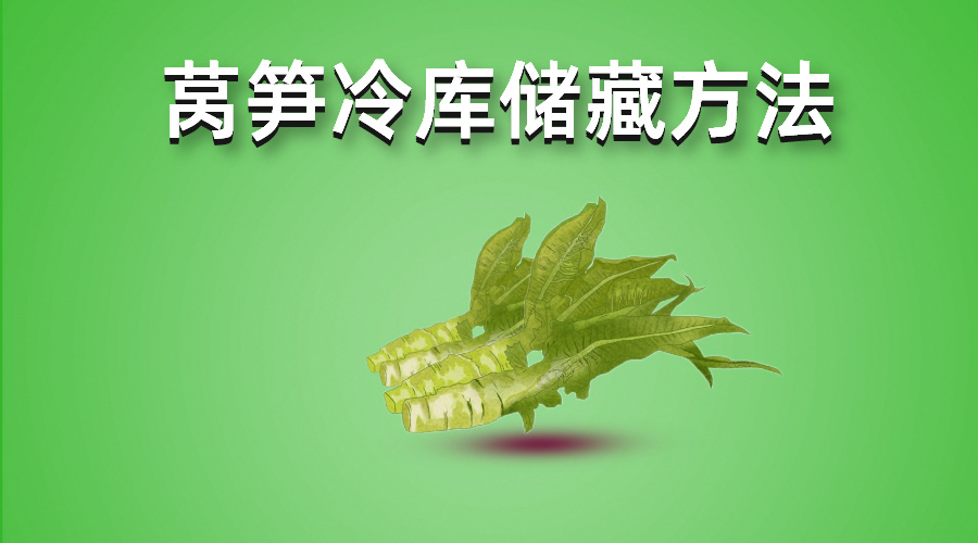 萵筍冷庫(kù)儲(chǔ)藏方法介紹