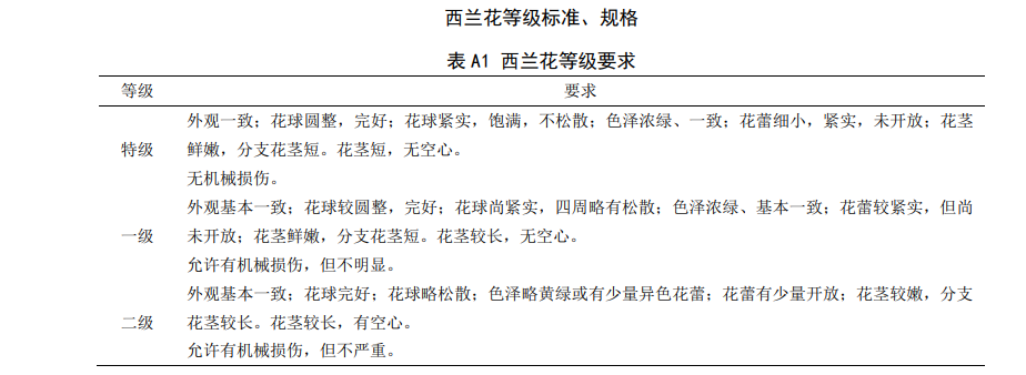 西藍花放冷前分級標準