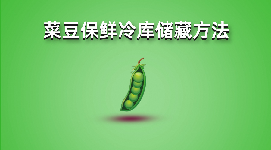 四季豆（菜豆）保鮮（氣調(diào)）冷庫儲(chǔ)藏方法詳解