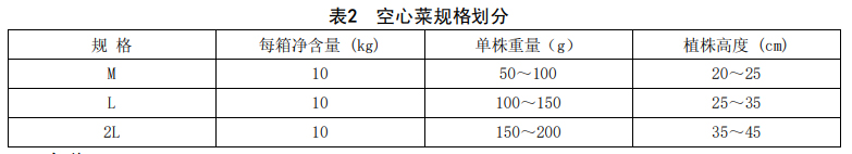 空心菜分級標(biāo)準(zhǔn)