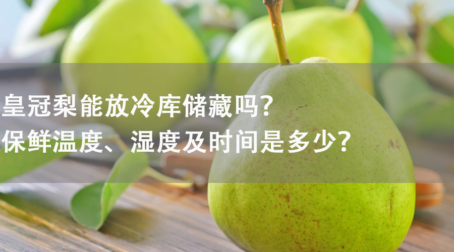 皇冠梨能在冷庫儲藏嗎？保鮮溫度、濕度及時間是多少？