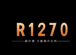 制冷劑R1270簡(jiǎn)介、用途、物理性質(zhì)、技術(shù)指標(biāo)及存儲(chǔ)運(yùn)輸詳細(xì)說(shuō)明