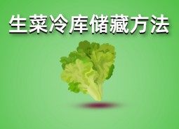 生菜冷庫(kù)存儲(chǔ)方法介紹，這樣做保鮮1個(gè)月！