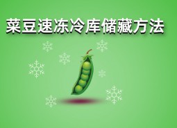 四季豆（菜豆）速凍冷庫儲藏方法詳解，保鮮時間1年不變質(zhì)！