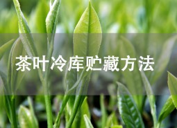 茶葉貯藏方法是什么？茶葉冷庫儲存介紹！