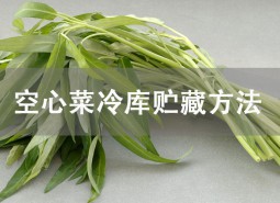 空心菜冷庫貯藏方法詳解！這樣貯藏可保鮮1個月！