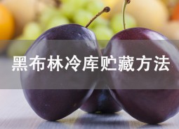 黑布林貯藏方法介紹！冷庫(kù)保鮮3個(gè)月不壞